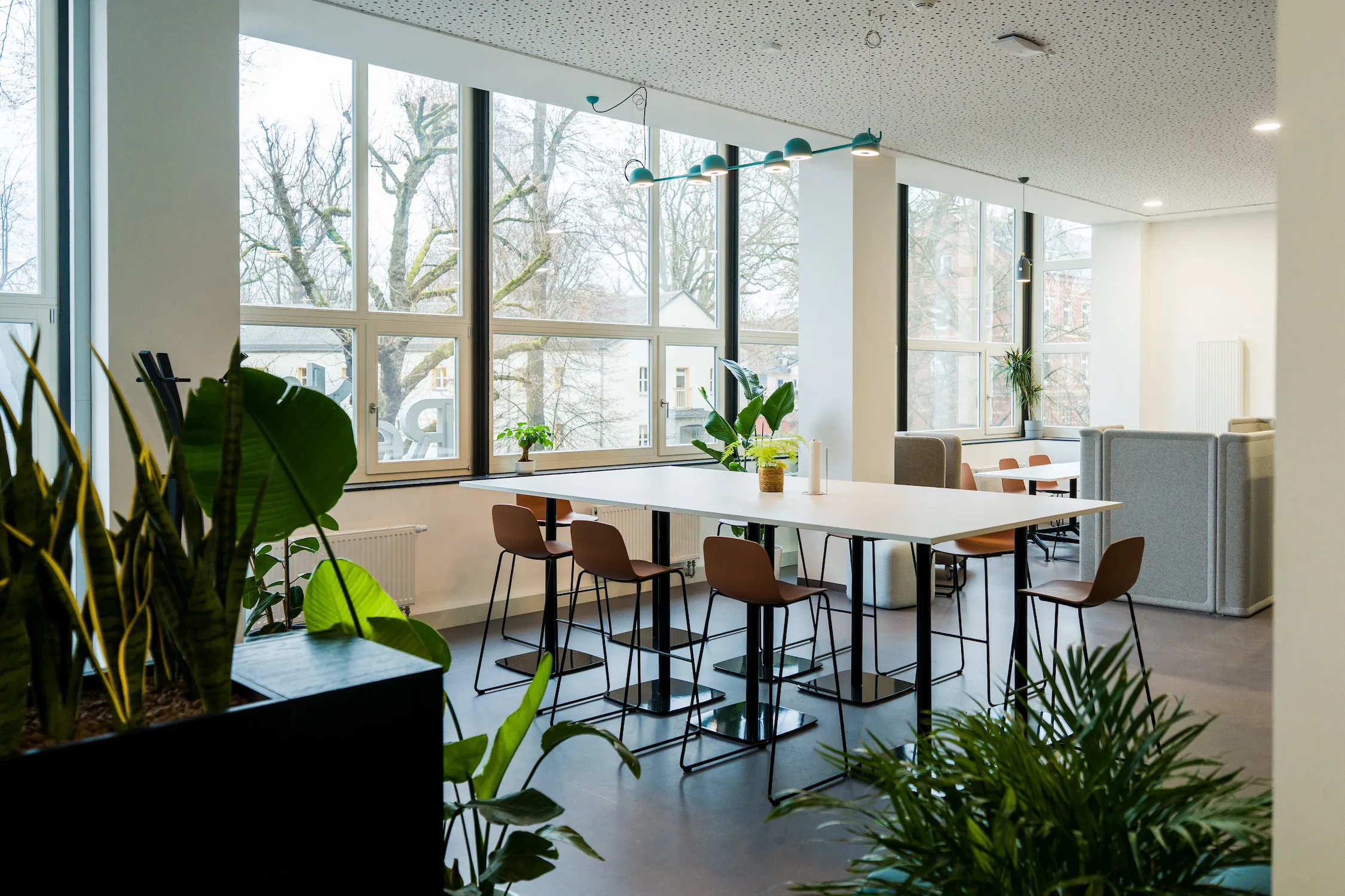 Community-Tisch mit großer Fensterfront und Pflanzen